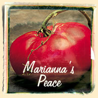 The World's Best Tasting Heirloom Tomato, Marianna's Peace