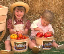 Tomato Festival Kids