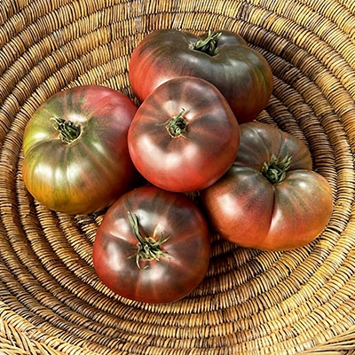 Black Beauty Tomato Seeds x 10 Organic Heirloom Tomatoes