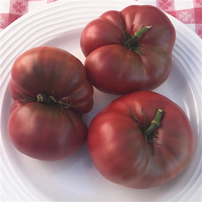 Dwarf Wild Spudleaf - Tomato Seeds | TomatoFest