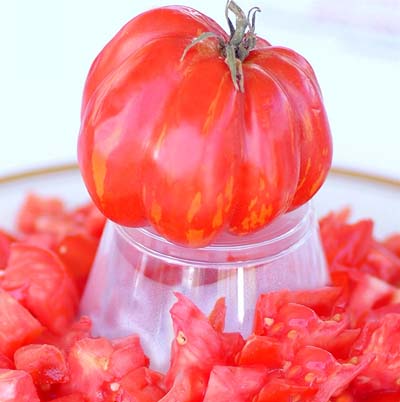 www.tomatofest.com