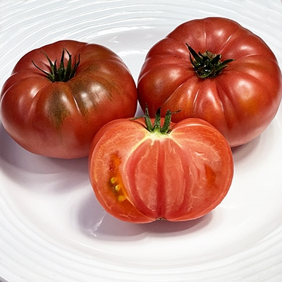 Italian Tree Organic Tomato Seeds - TomatoFest