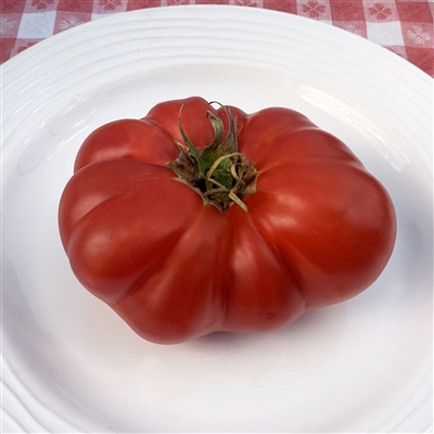 Neves Azorean Red Organic Tomato Seeds | TomatoFest