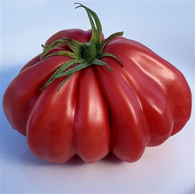 Zapotec Pleated Tomato Seeds | TomatoFest